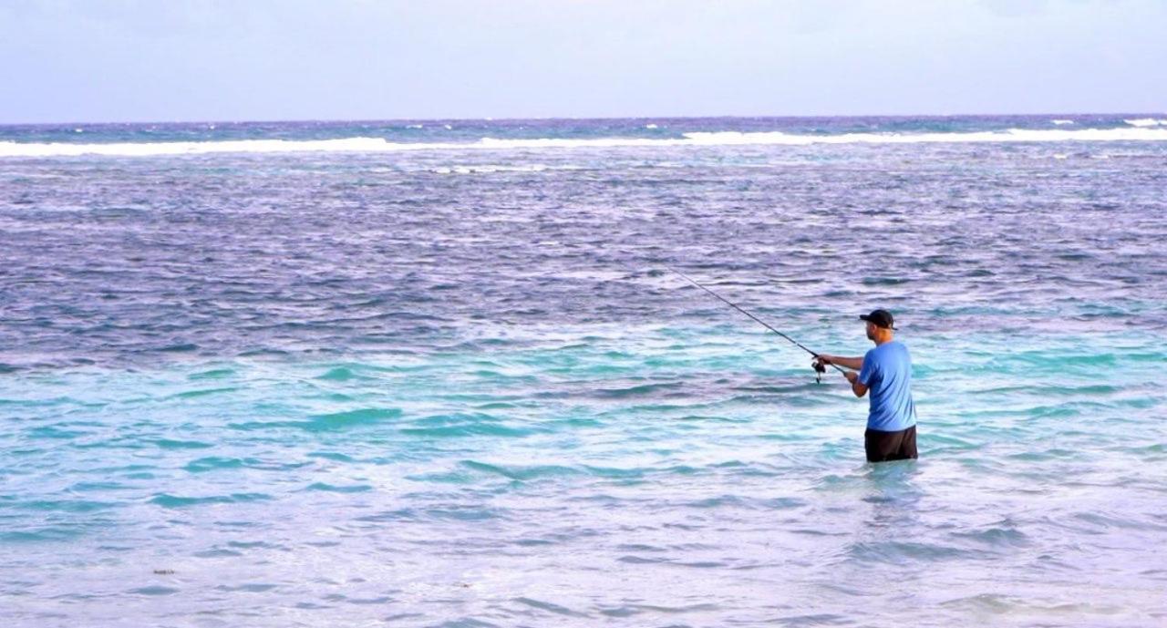 Cabanas Ecoturisticas Costa Maya Mahahual Zewnętrze zdjęcie