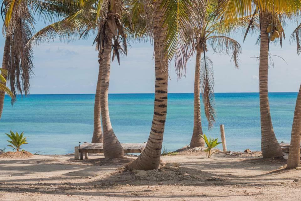 Cabanas Ecoturisticas Costa Maya Mahahual Zewnętrze zdjęcie