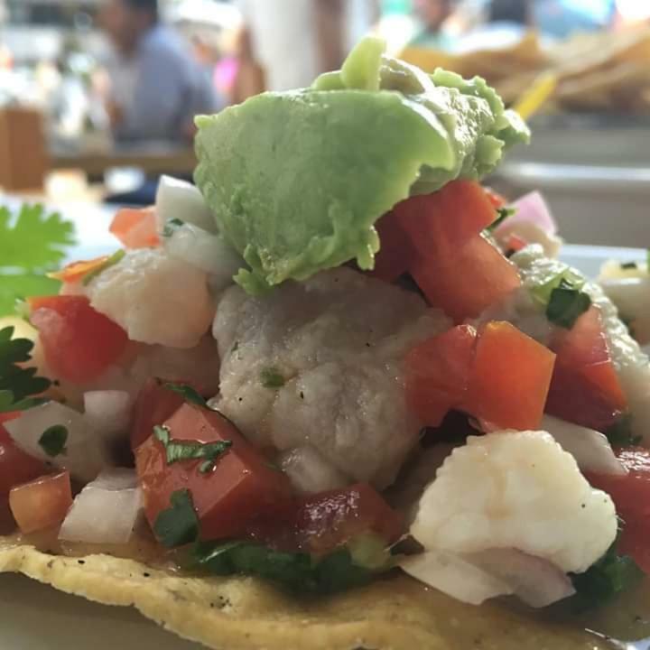 Cabanas Ecoturisticas Costa Maya Mahahual Zewnętrze zdjęcie