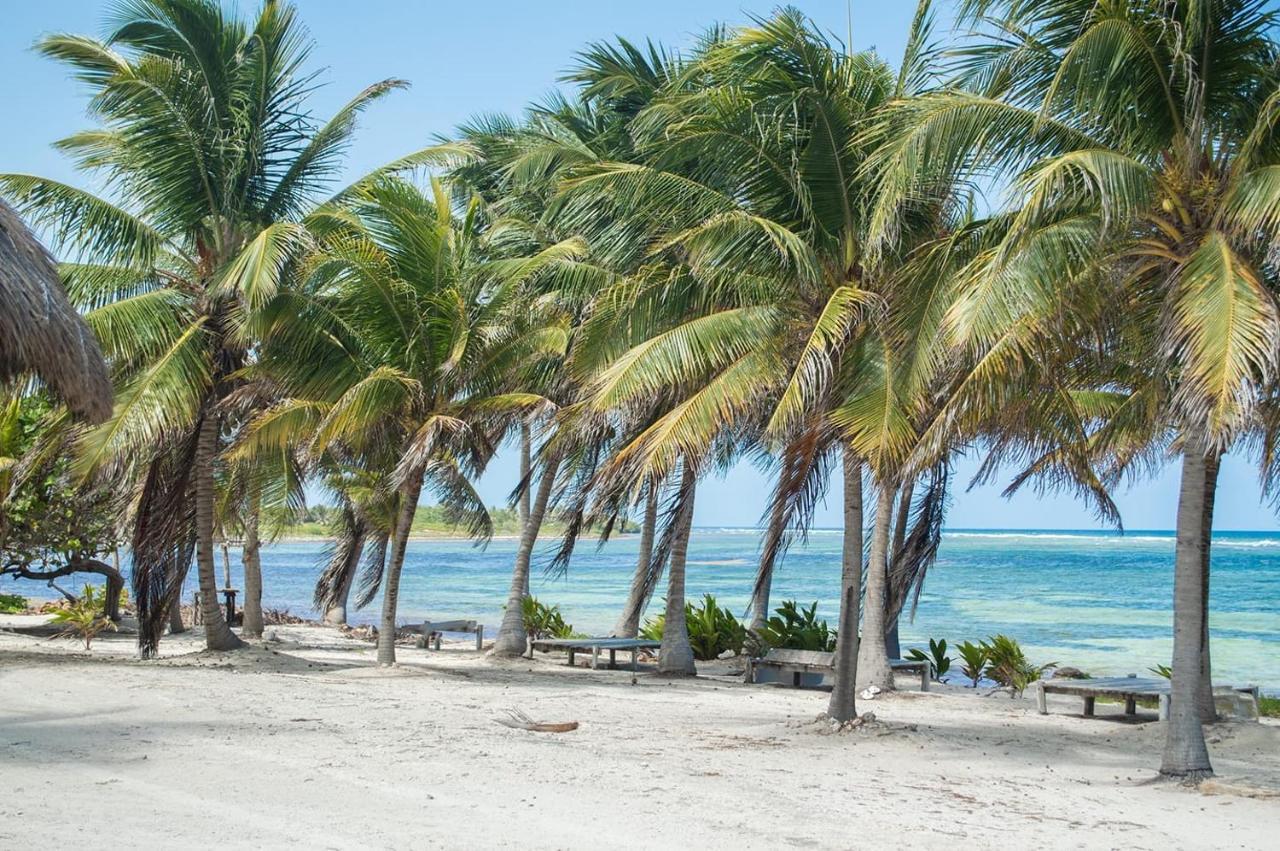 Cabanas Ecoturisticas Costa Maya Mahahual Zewnętrze zdjęcie